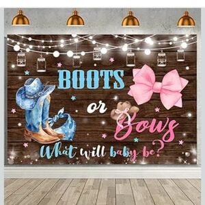 Gender Reveal Backdrop with Boots and Bows
